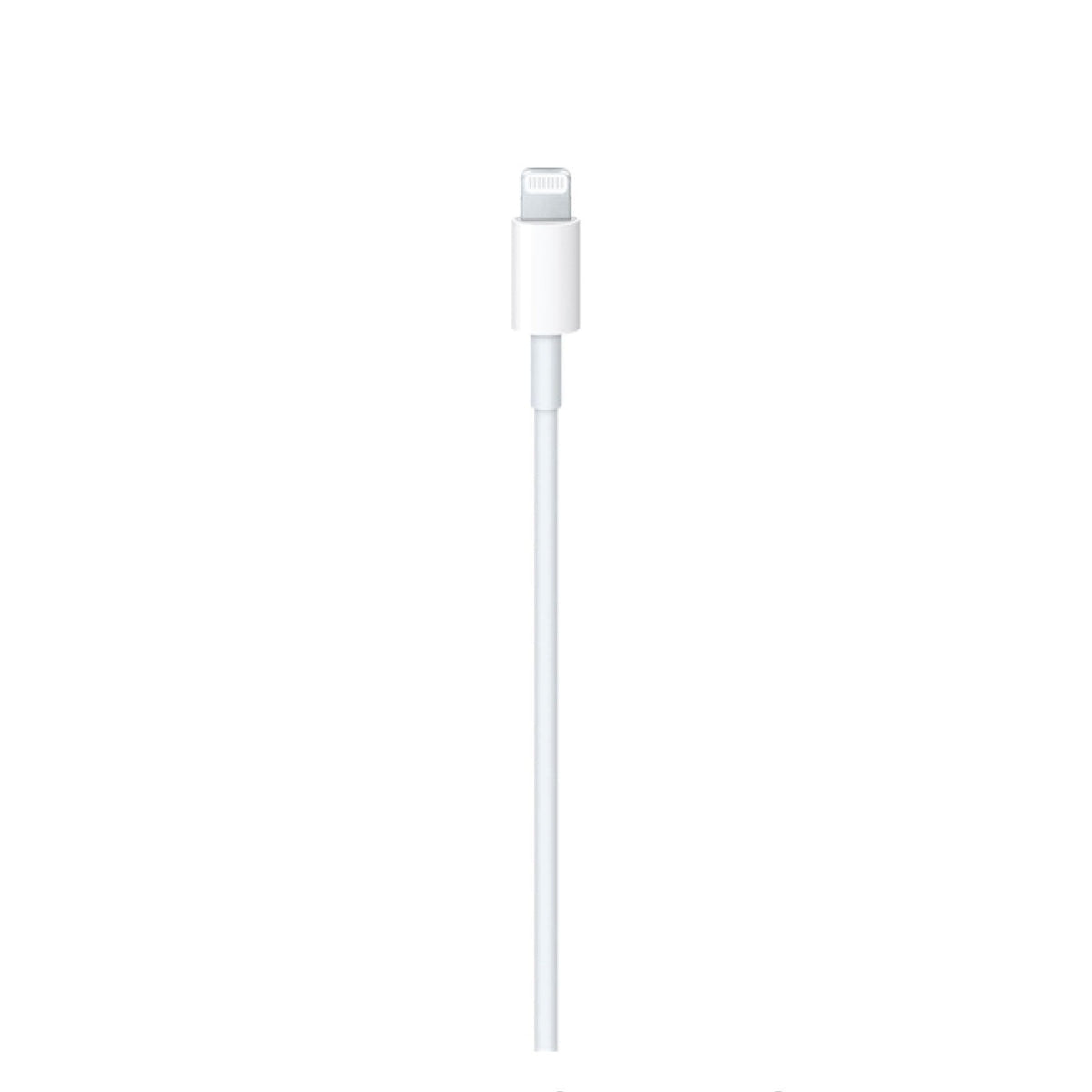 Lightning Cable for iPhone
 - Cash Market