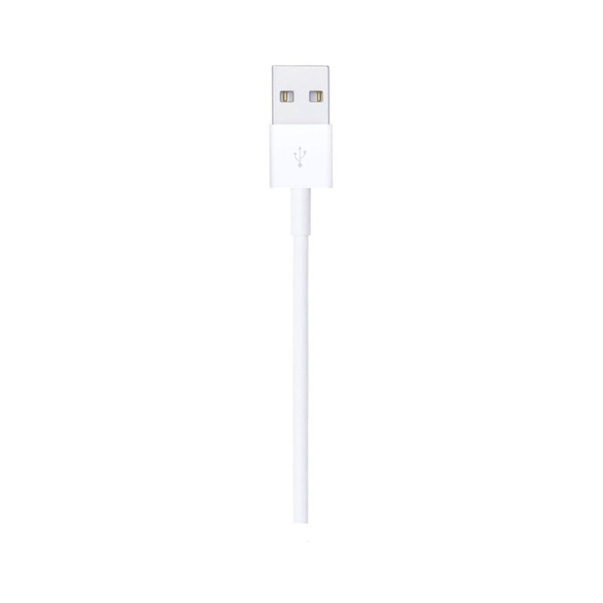 Lightning Cable for iPhone
 - Cash Market