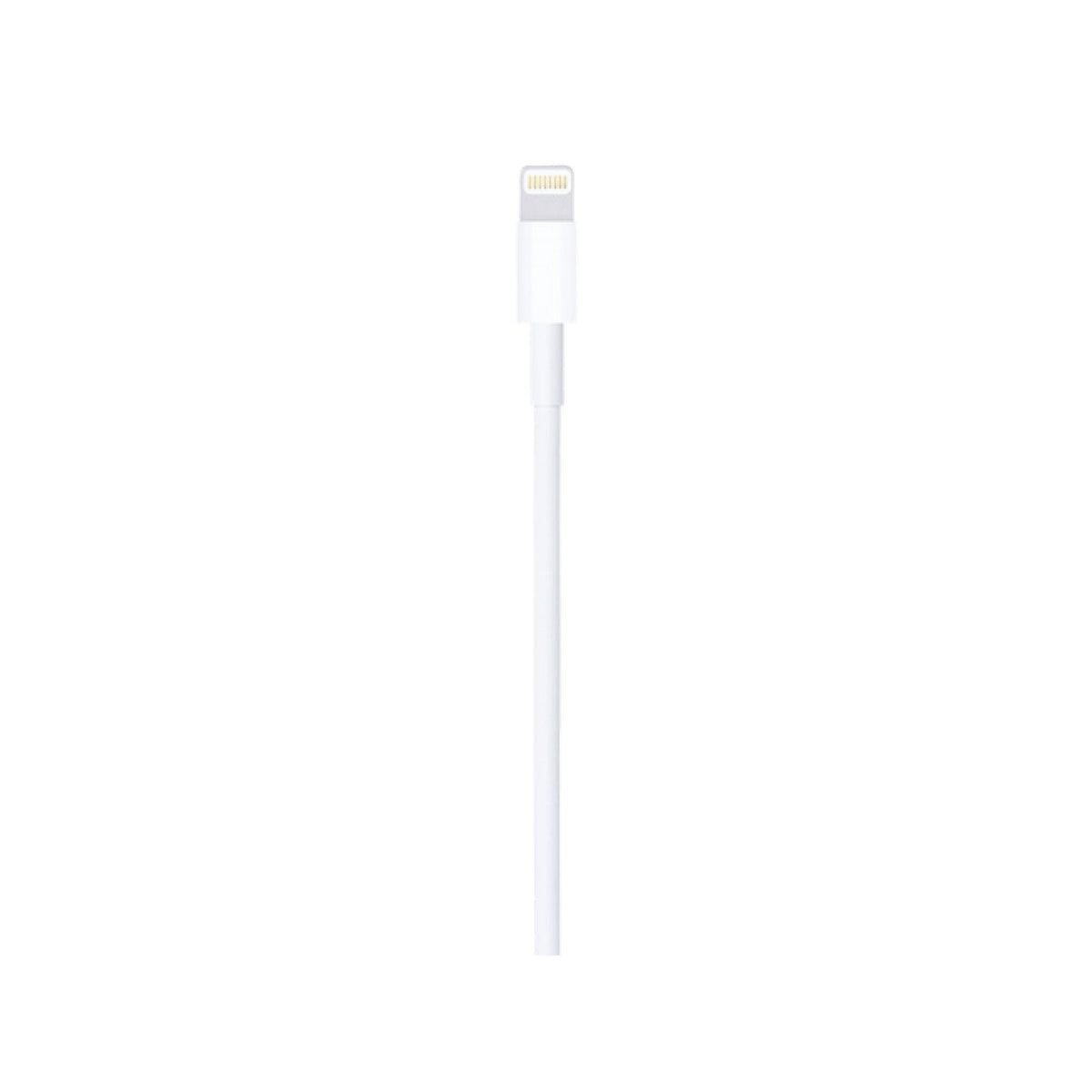 Apple USB To Lightening Cable - Cash Market